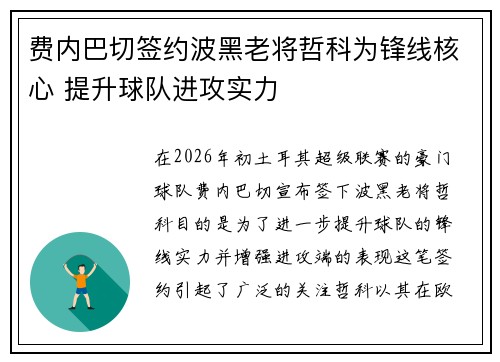 费内巴切签约波黑老将哲科为锋线核心 提升球队进攻实力